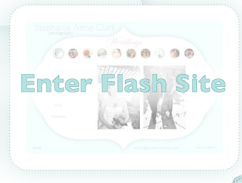 Enter Flash Site